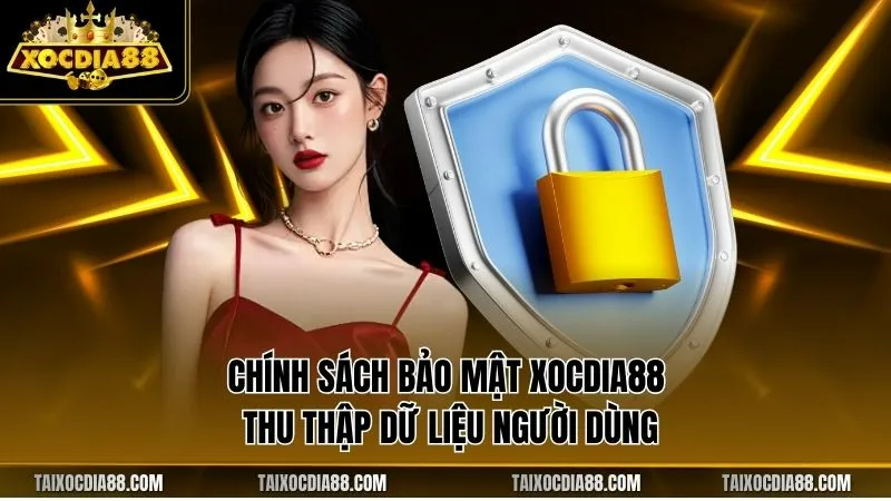 Chính sách bảo mật Xocdia88 thu thập dữ liệu người dùng