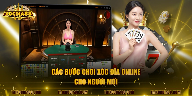 Các bước chơi xóc đĩa online cho người mới 