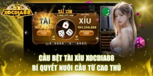 Cầu bệt tài xỉu