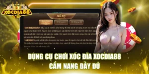 Dụng cụ chơi xóc đĩa