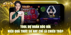 tool dự đoán xóc đĩa